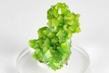 Apple-Green Pyromorphite Crystal Cluster - China #179720-3